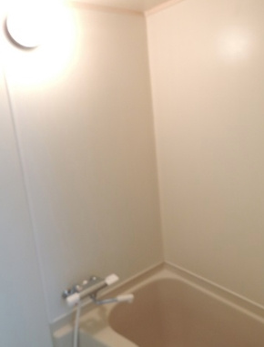 コーポアセッツ38の浴室