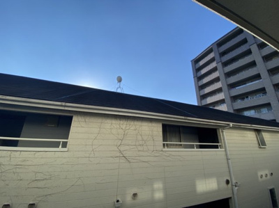 【展望】 | ロビンズネスト