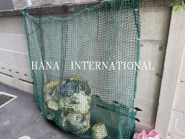 ヴェルデスのその他共用部分