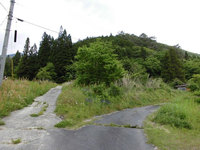 木曽郡南木曽町土地の外観