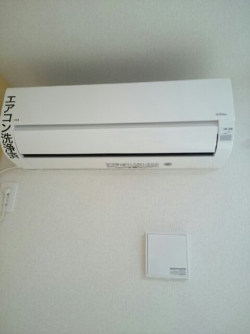 プラシード．ブレッザのその他