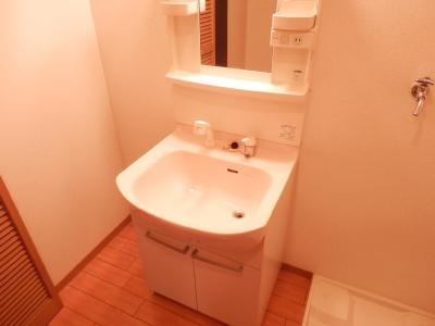 ビレイユ真英河原町の洗面所