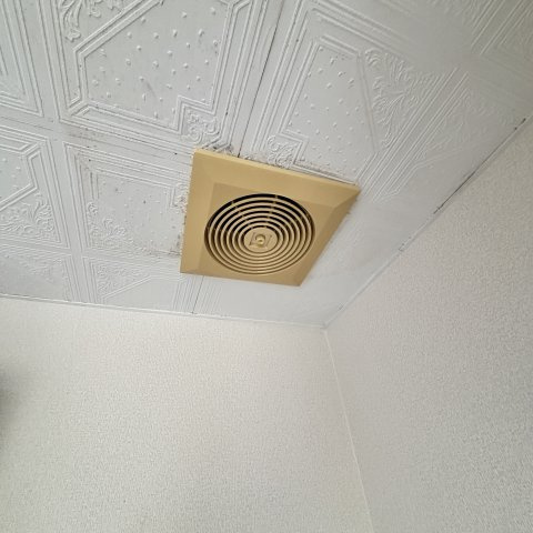 ハイツメモリーＢのその他