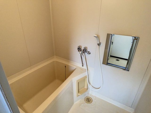 ラプラスジュネスの浴室