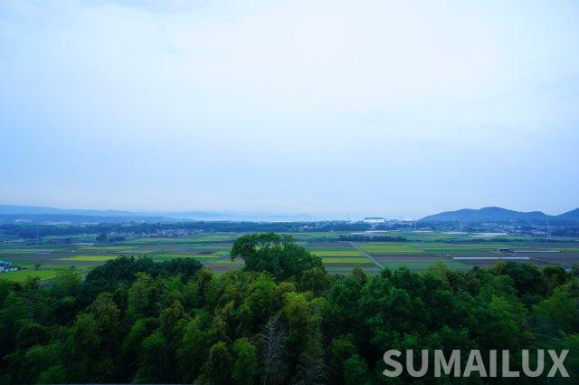 菊池郡菊陽町大字津久礼の賃貸マンションの展望