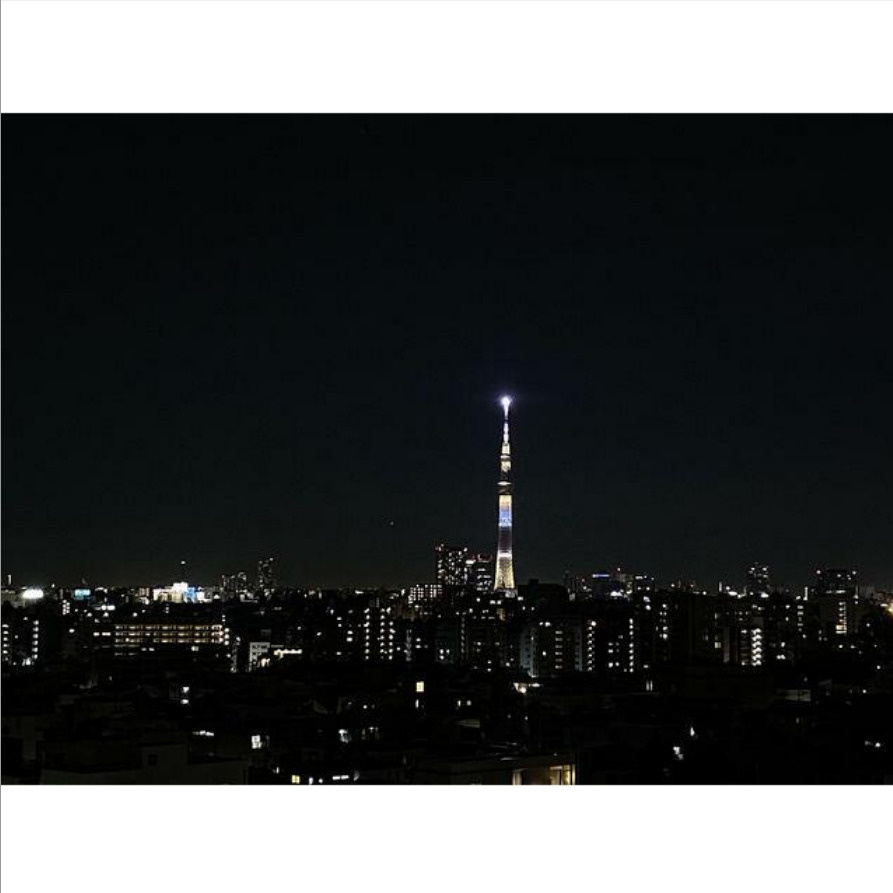 【展望】