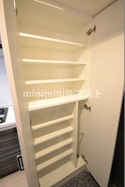 セオリー難波パレの収納