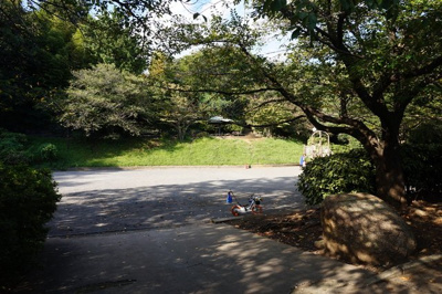 鯛ヶ崎公園