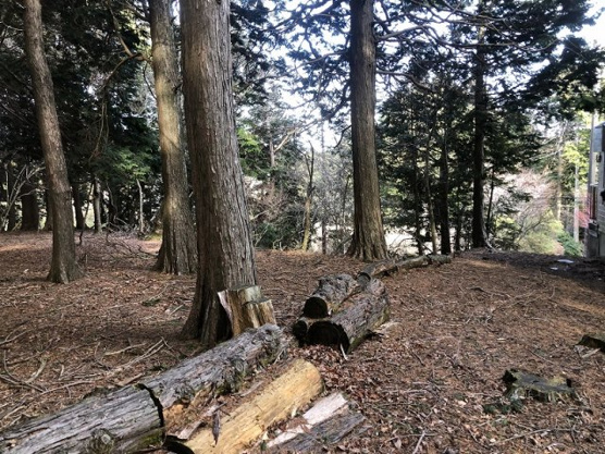【外観】 | 東急天城高原別荘地　売地