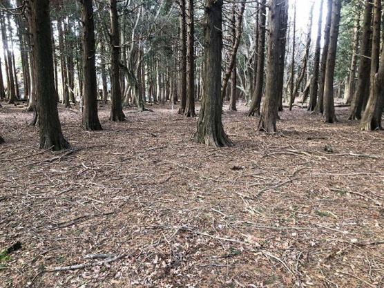 【外観】 | 東急天城高原別荘地　売地