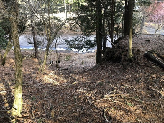 【外観】 | 東急天城高原別荘地　売地