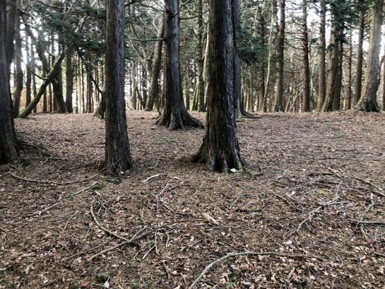 【外観】 | 東急天城高原別荘地　売地