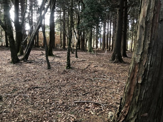 【外観】 | 東急天城高原別荘地　売地