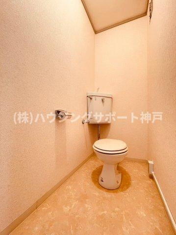 グリーンハイツ桃山のトイレ