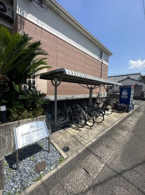 【その他】 | スイートアリッサム