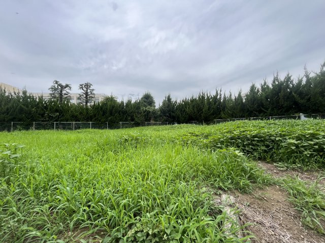 川越市南大塚１丁目　建築条件なし売地　西武新宿線『南大塚駅』徒歩13分　【大東東小学区】の外観