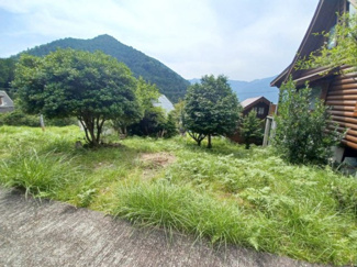 【外観】 | 多可郡多可町加美区丹治 | 東側から