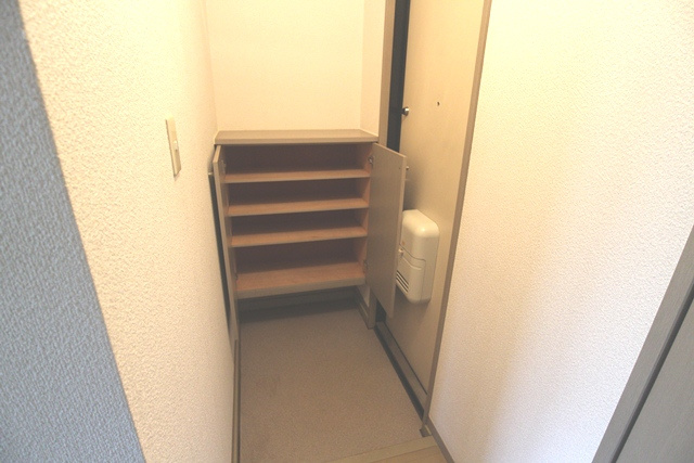 サンウイング【キャッシュバック対象物件】の玄関|収納もある玄関です