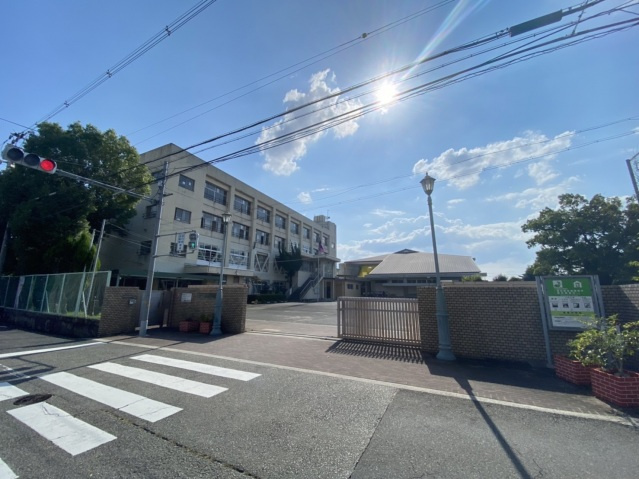 【周辺】 | エスポワール法善寺 | 柏原市立柏原中学校(中学校)まで869m