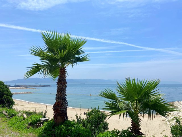 明石市松江　新築一戸建て　★海の近く★の外観