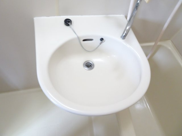 ハウスパインヒルⅡの洗面所