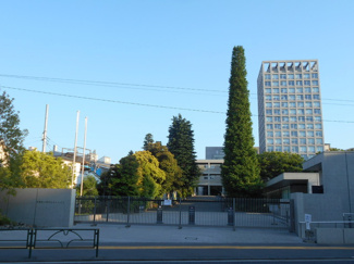 大学