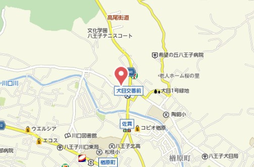 レオネクストフロレゾンＡのその他