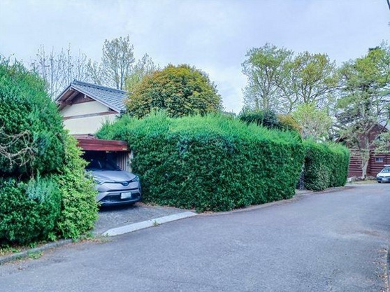 【前面道路含む現地写真】 | 伊豆高原別荘地城ケ崎地区　戸建