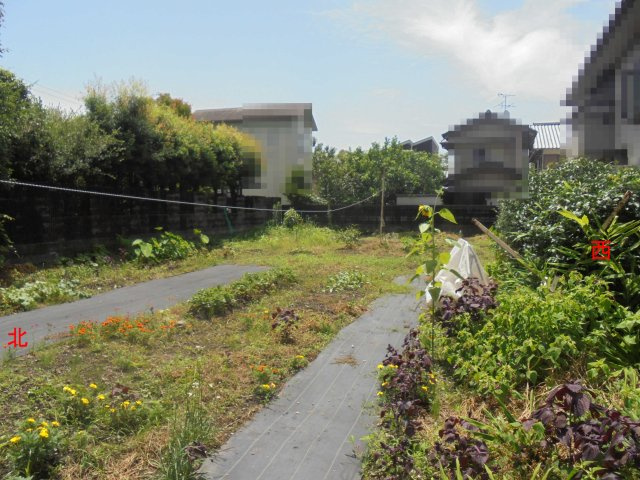 【外観】 | 香美市土佐山田町　☆広い土地