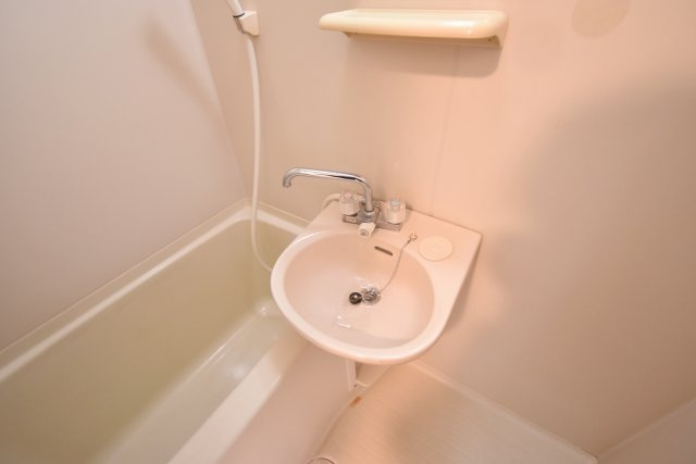 フレースヴィルの洗面所