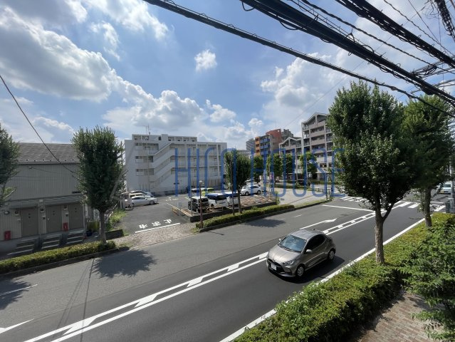 ピュアロータスの展望