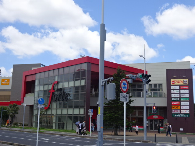 ライオンズステーションプラザ津田沼の周辺|近隣商業施設