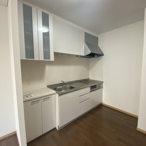 リヴァーハイツ輪西のキッチン