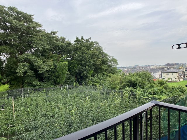 アムールHAPPINESSの展望