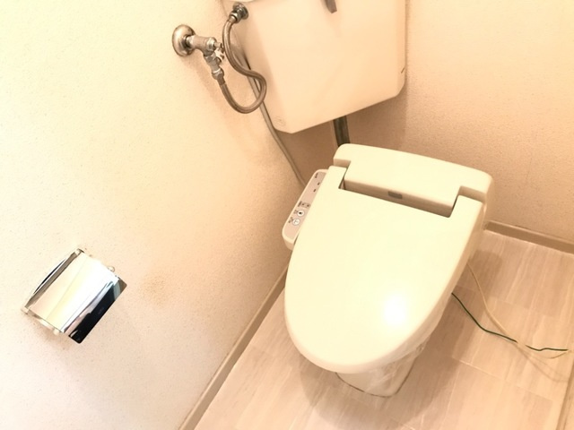 ブルーリボン B棟のトイレ