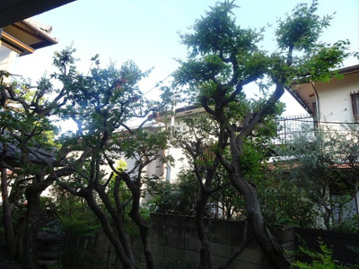 【展望】 | レジデンス小鮎