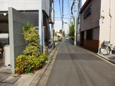 PARK WEST 雅（パークウエスト雅）の周辺|前面道路