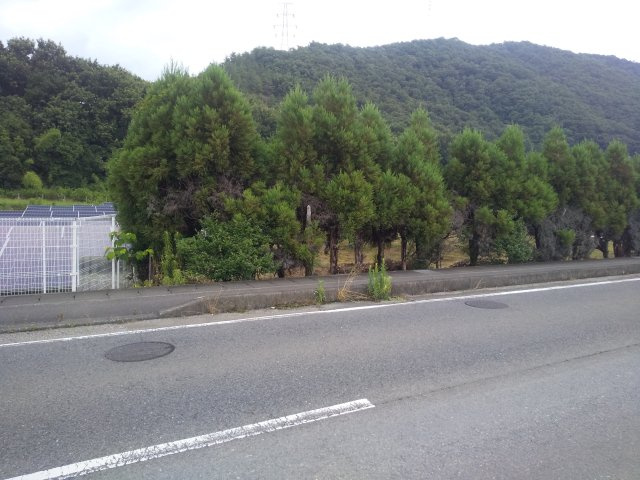 ６１１７７　岐阜市御望土地の外観