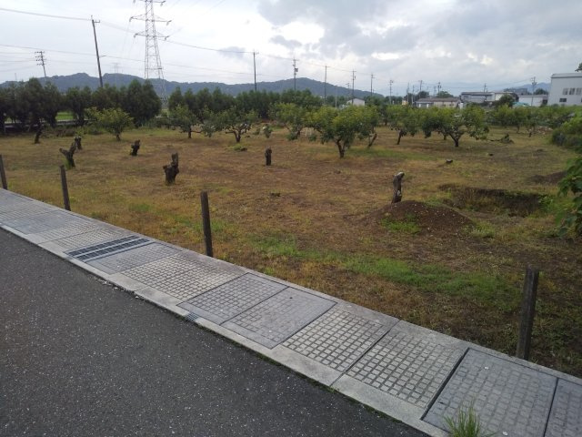 ６１１７７　岐阜市御望土地の外観