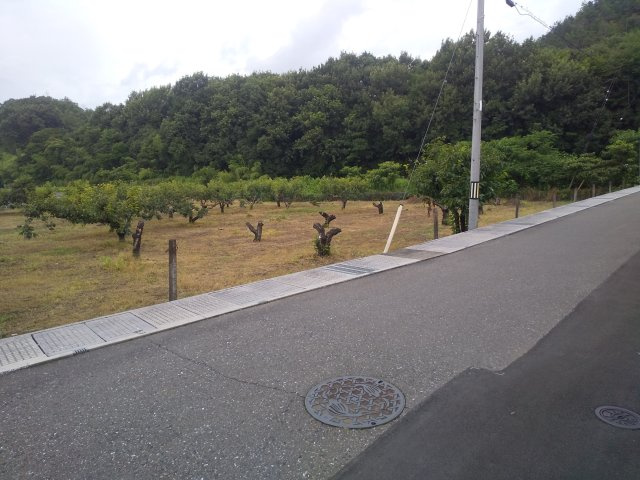 ６１１７７　岐阜市御望土地の前面道路含む現地写真