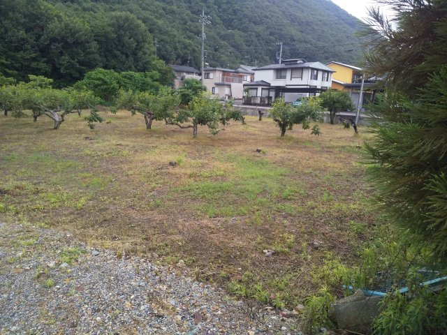 ６１１７７　岐阜市御望土地の外観