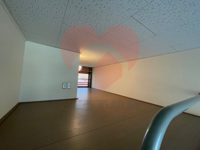  | レオパレス新金岡