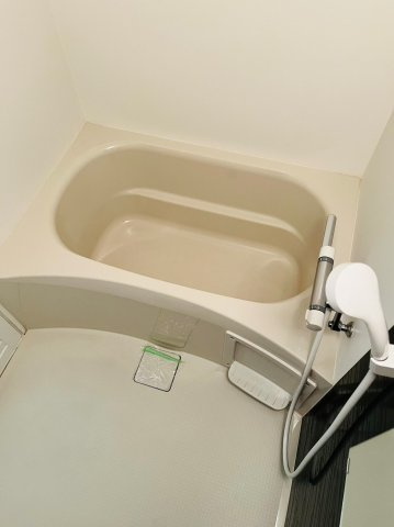 仲介手数料０円！！ザ・テラス丸の内の浴室