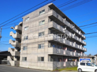KIWI川内の画像
