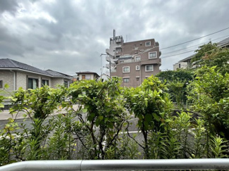 【展望】