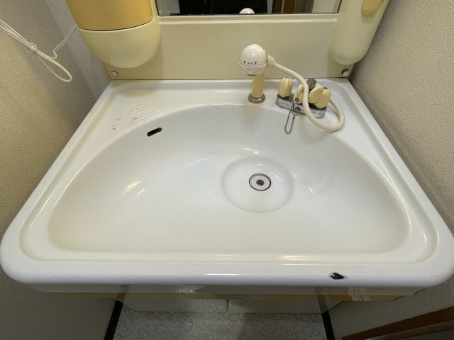 グレース蜆塚の洗面所