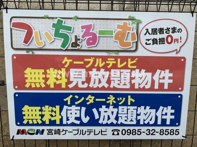 Ａｎｅｌａ（アネラ）のその他