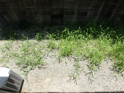 【庭】 | クレール山手