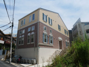 Serena Matsumushi（セレナマツムシ）の画像