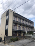 プロトンⅡの画像